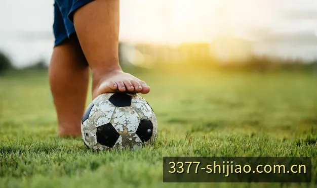 3377实时比分3D战术球场数据扫描看板
